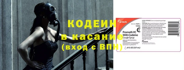 герыч Туринск