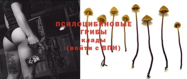 гашиш Бородино