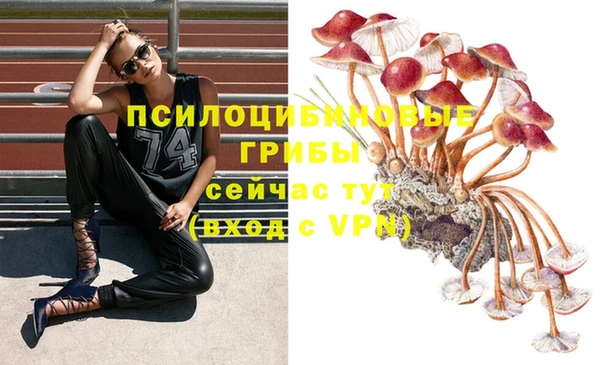 гашиш Бородино