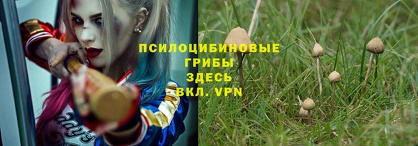 твердый Бугульма